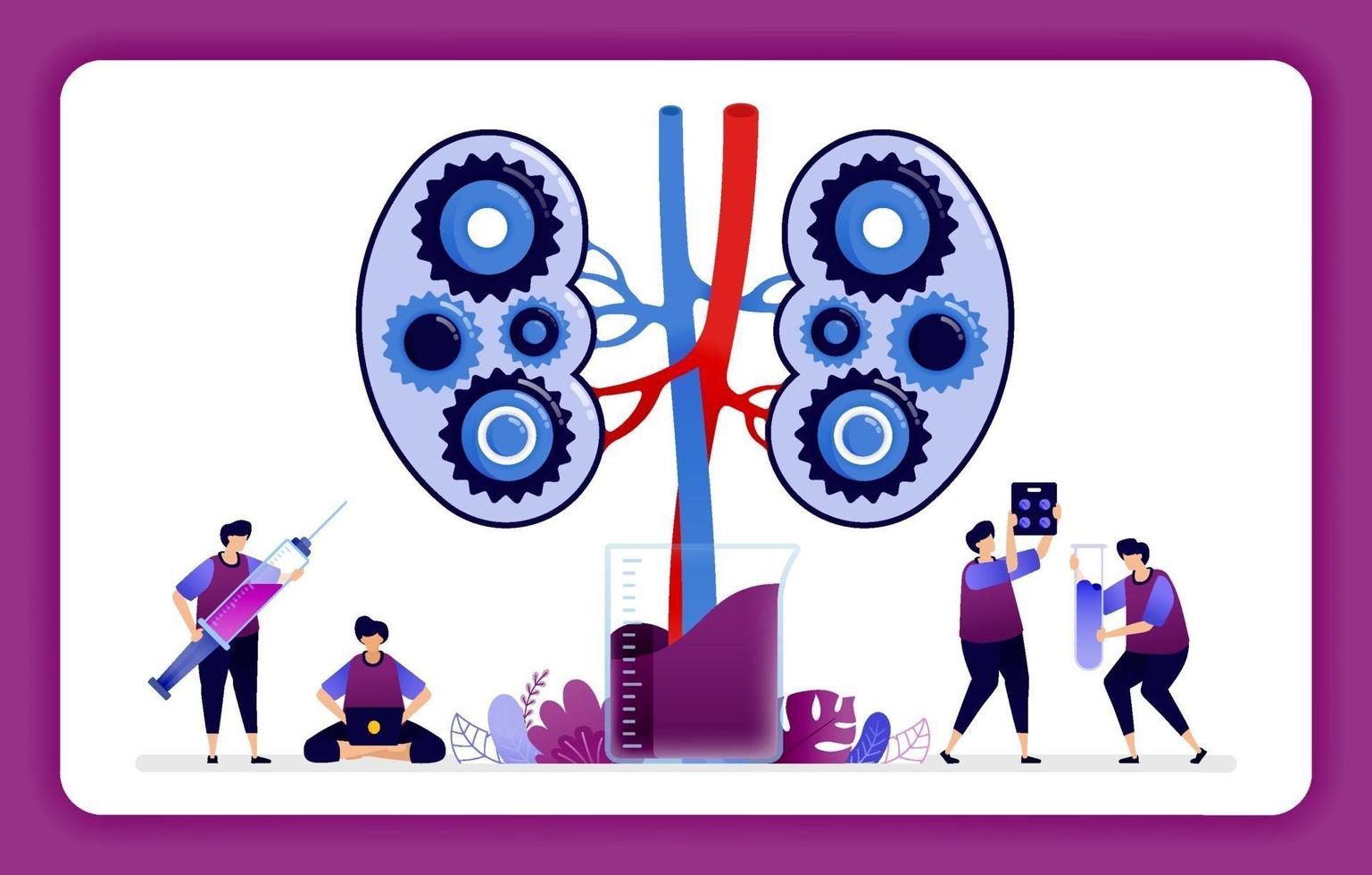 design illustration for kidney disease and treatment. mechanisms in the kidney for laboratory research and education. Design can use for website, web, landing page, banner, mobile apps, ui ux, poster vector