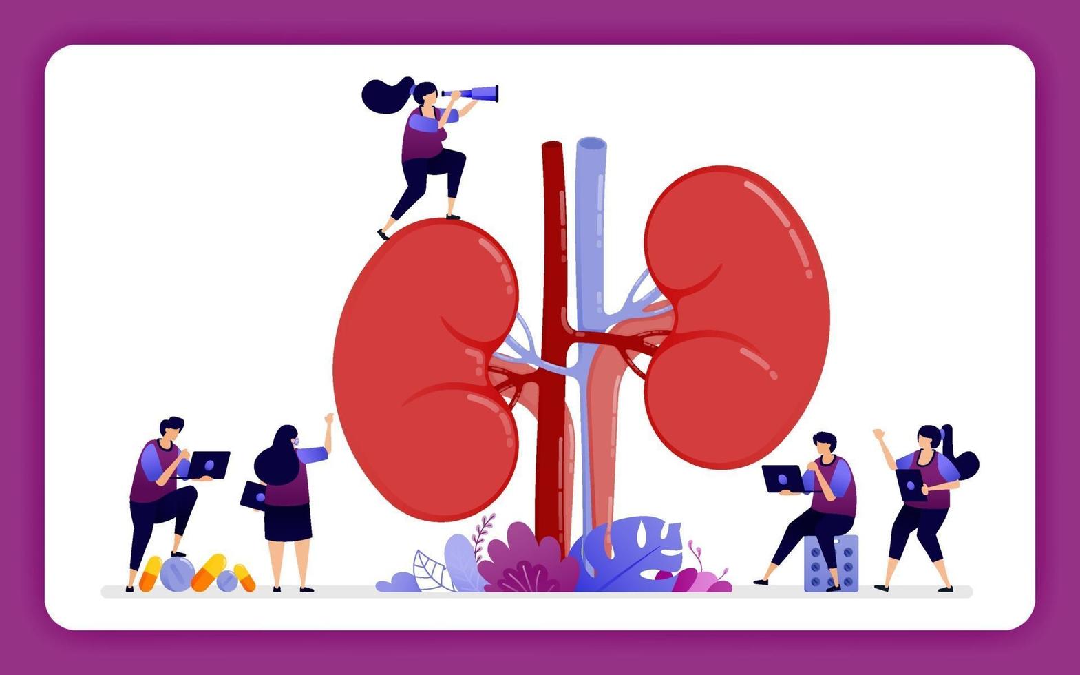 design illustration for kidney disease and treatment. anatomy of the kidney for medical, props and health education. Design can use for website, web, landing page, banner, mobile apps, ui ux, poster vector