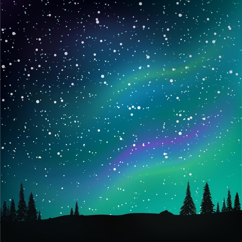 Northern lights in the starry sky and pine forest. vector