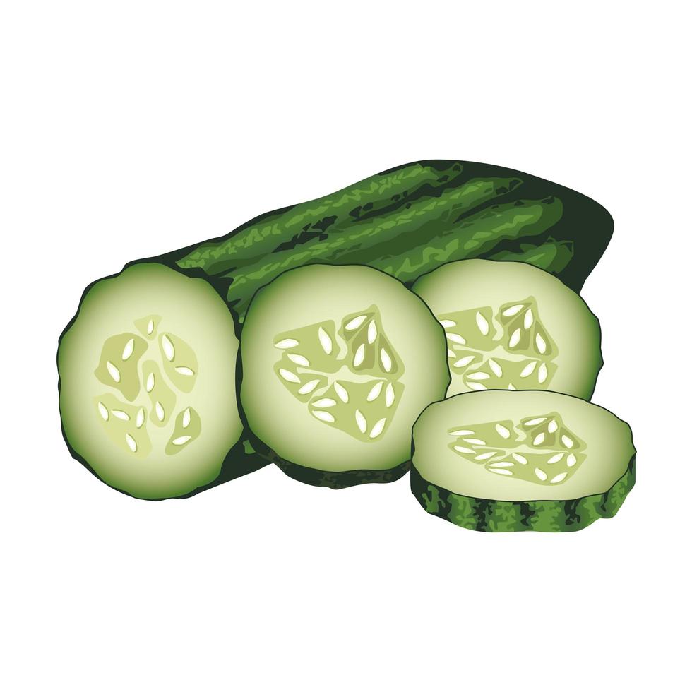 fresh cucumbers healthy vegetables icons vector