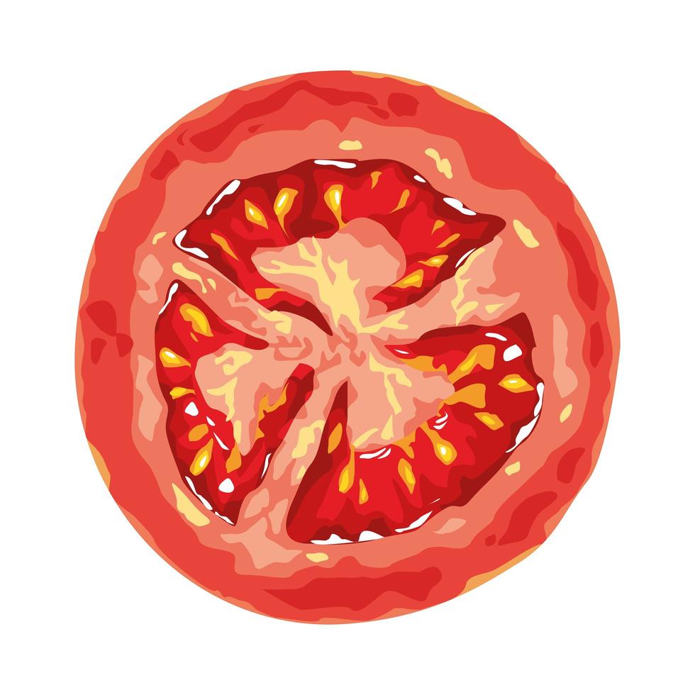 fresh half tomato healthy vegetable icon vector