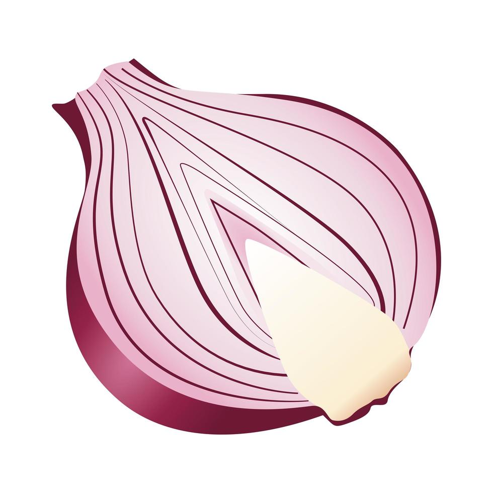 icono de vegetales saludables de media cebolla fresca vector