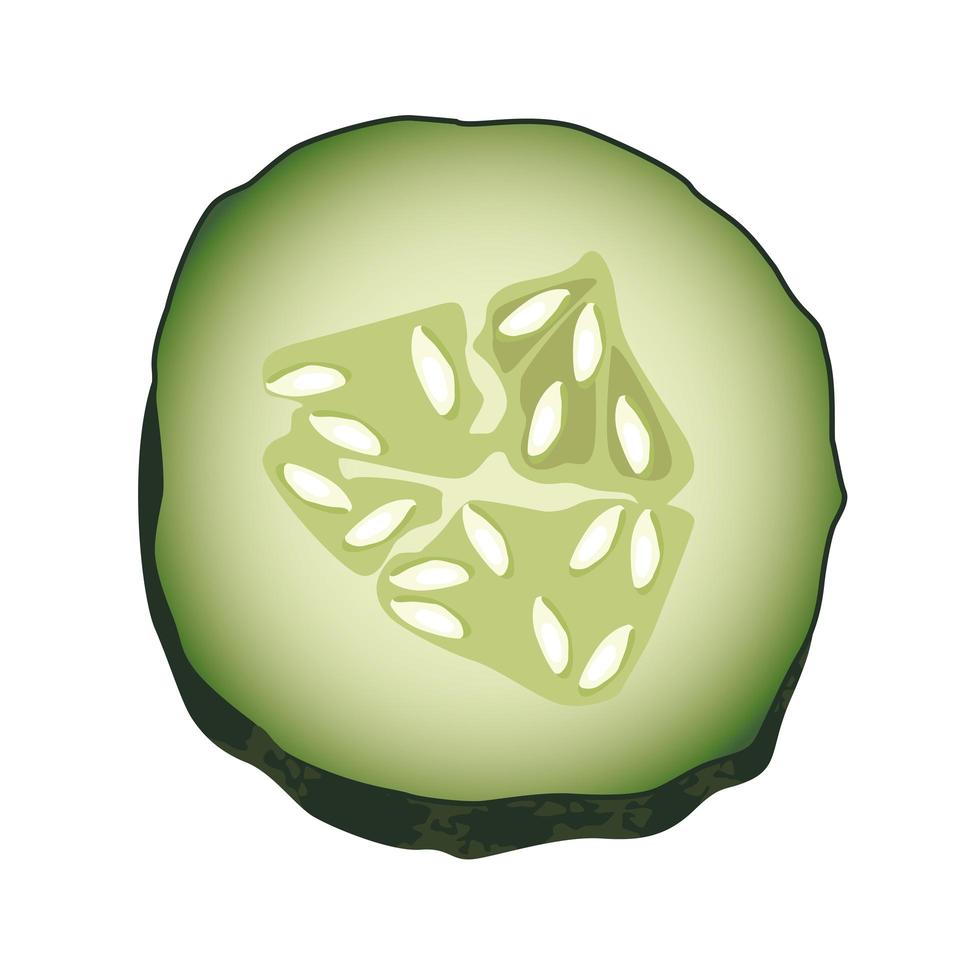 fresh cucumber slice, healthy vegetable icon vector