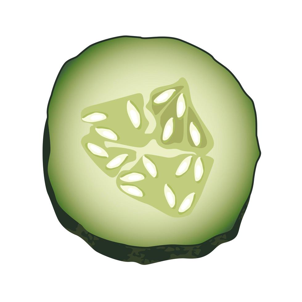 rodaja de pepino fresco, icono de vegetales saludables vector