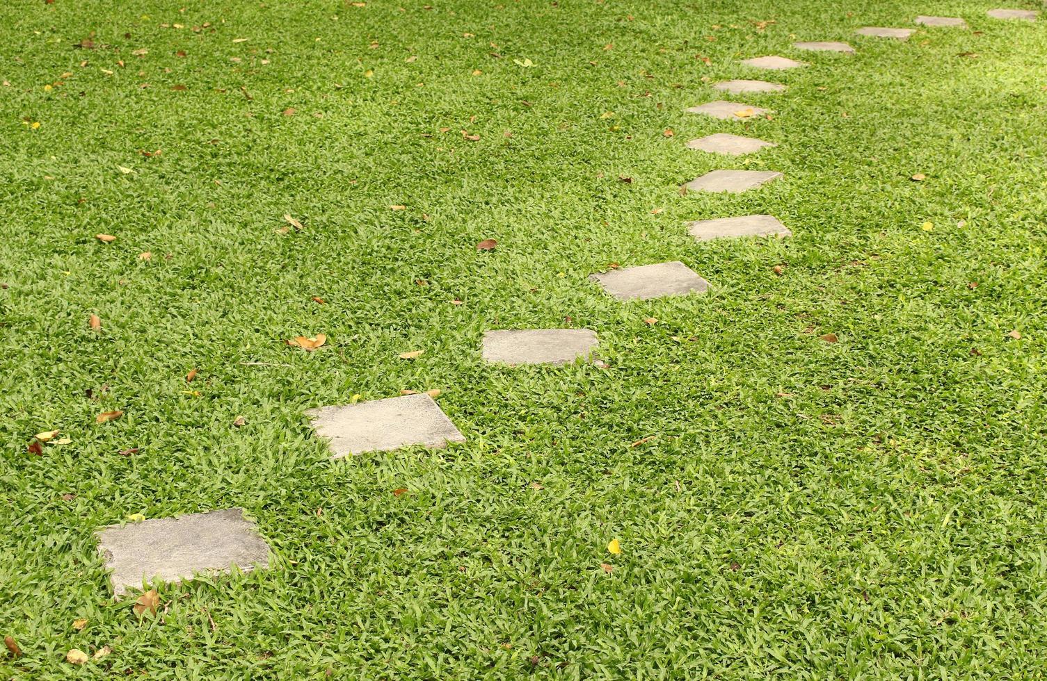 Stone path on the green grass photo