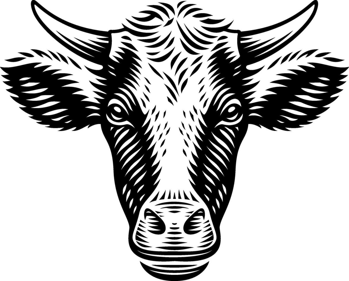 Vector illustration of a cow in engraving style on white background