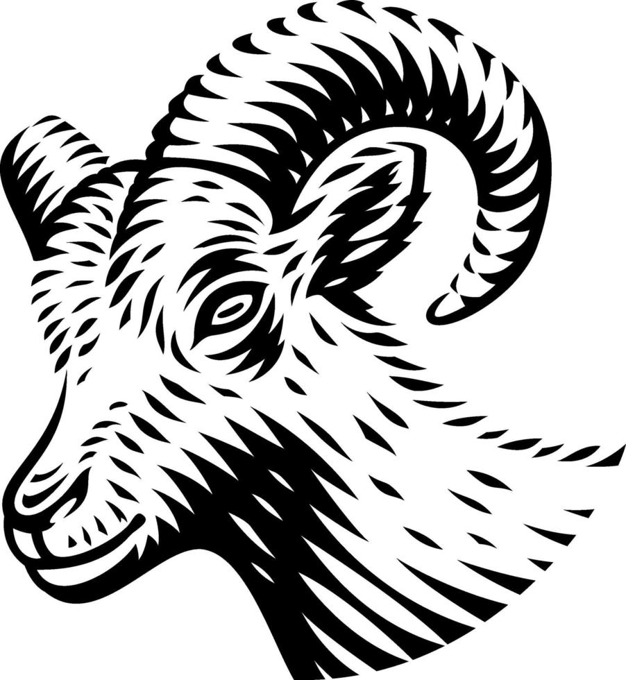 Black and white vector illustration of a goat in engraving style on white background