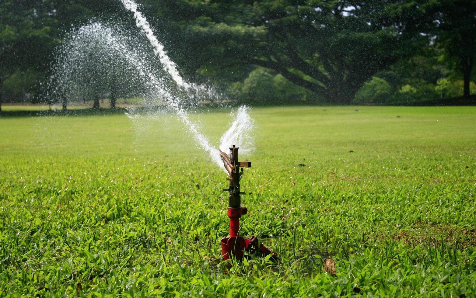 rociador de agua en el parque foto