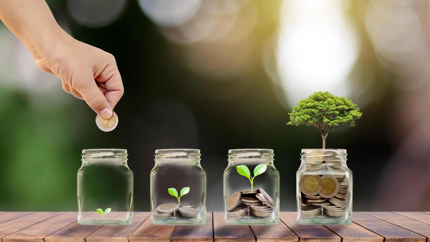 Planting Trees In Clear Bottles To Save Money On A Wooden Table And Blurred Green Background Business Growth Ideas Stock Photo At Vecteezy