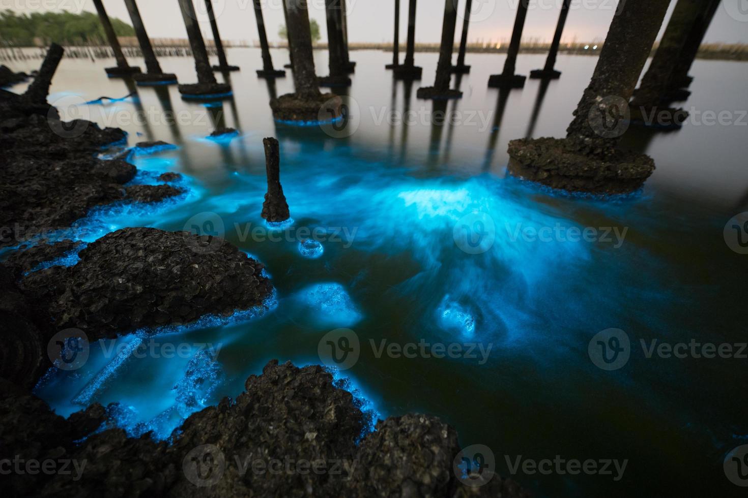 Plankton bloom illumination at night time photo