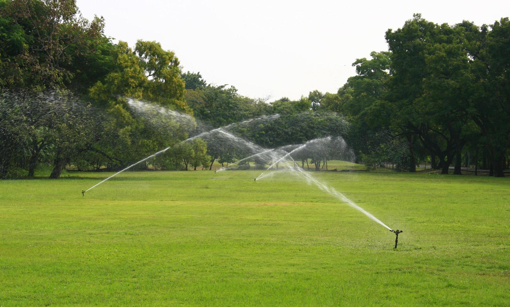 aspersores de agua regar la hierba foto