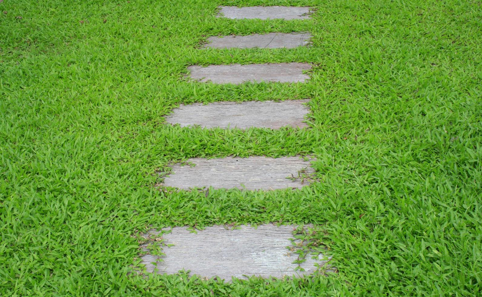 Stone walking path photo