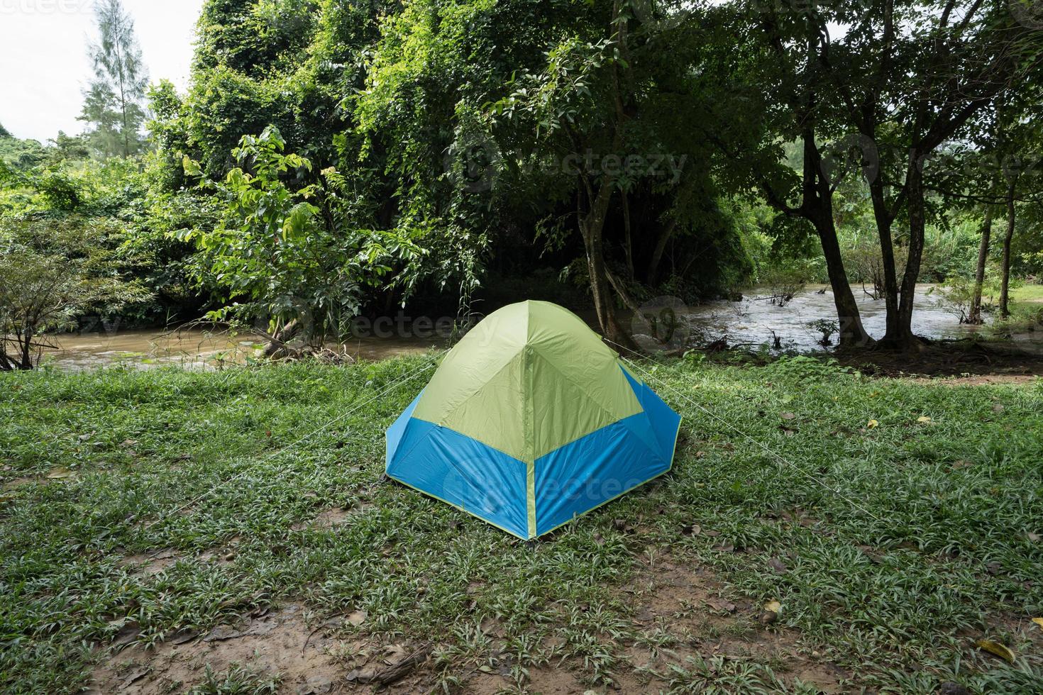 Tent on green grass photo