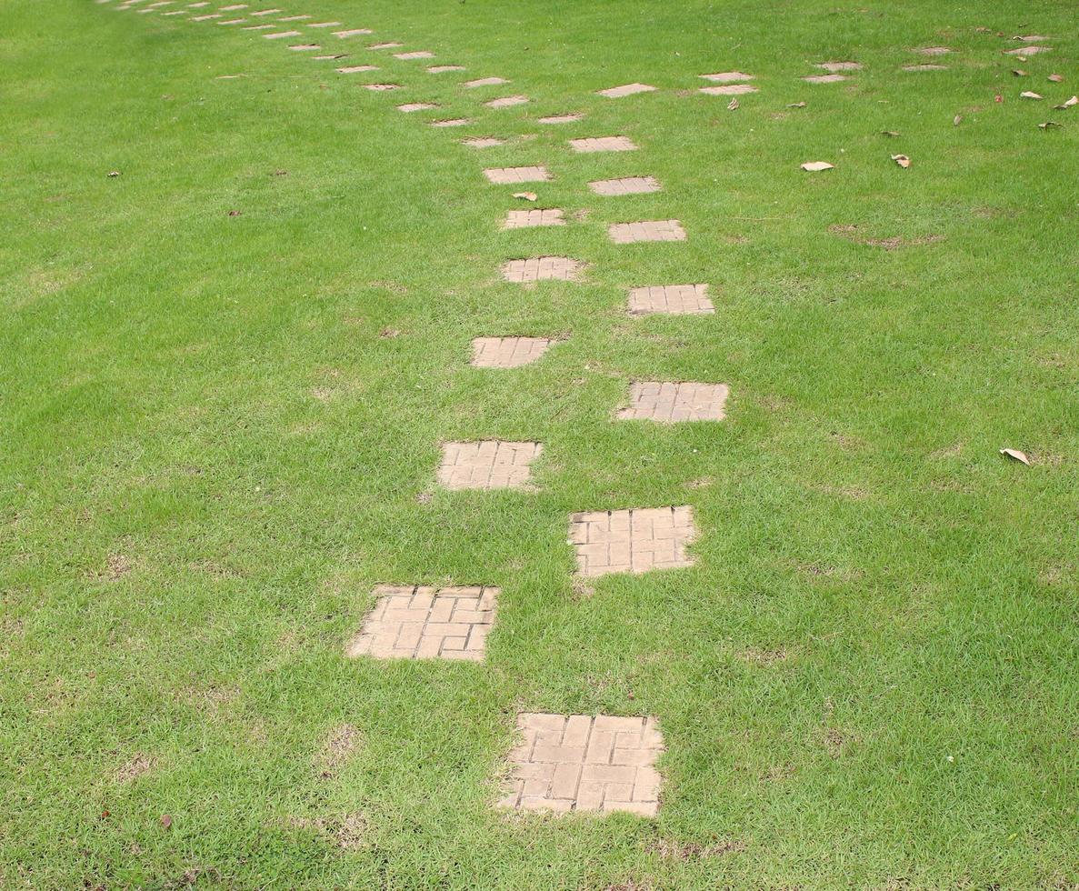 Stepping stones in green grass photo