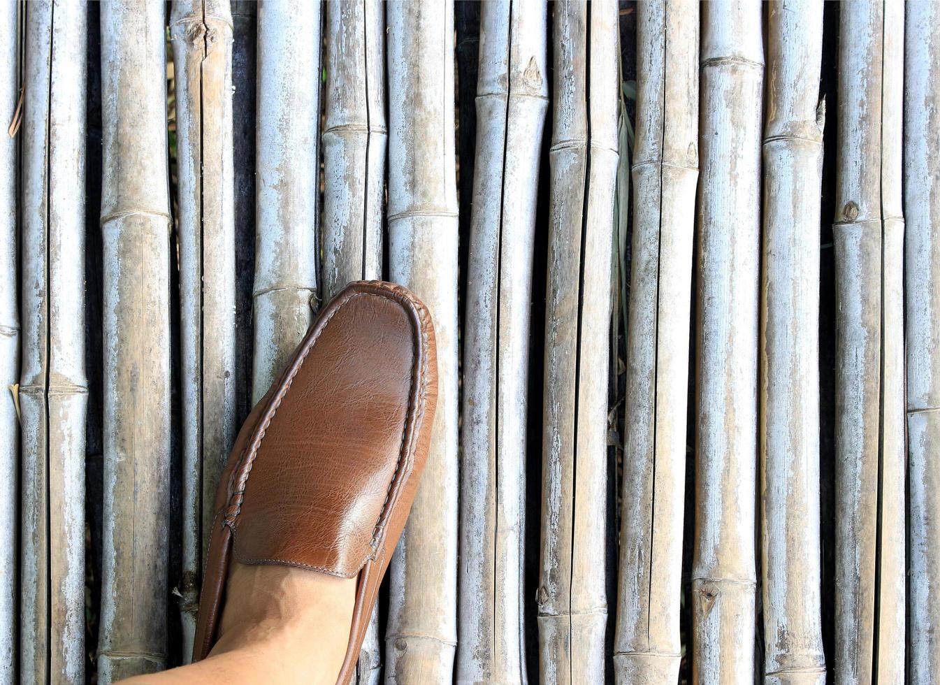 Shoe on bamboo photo