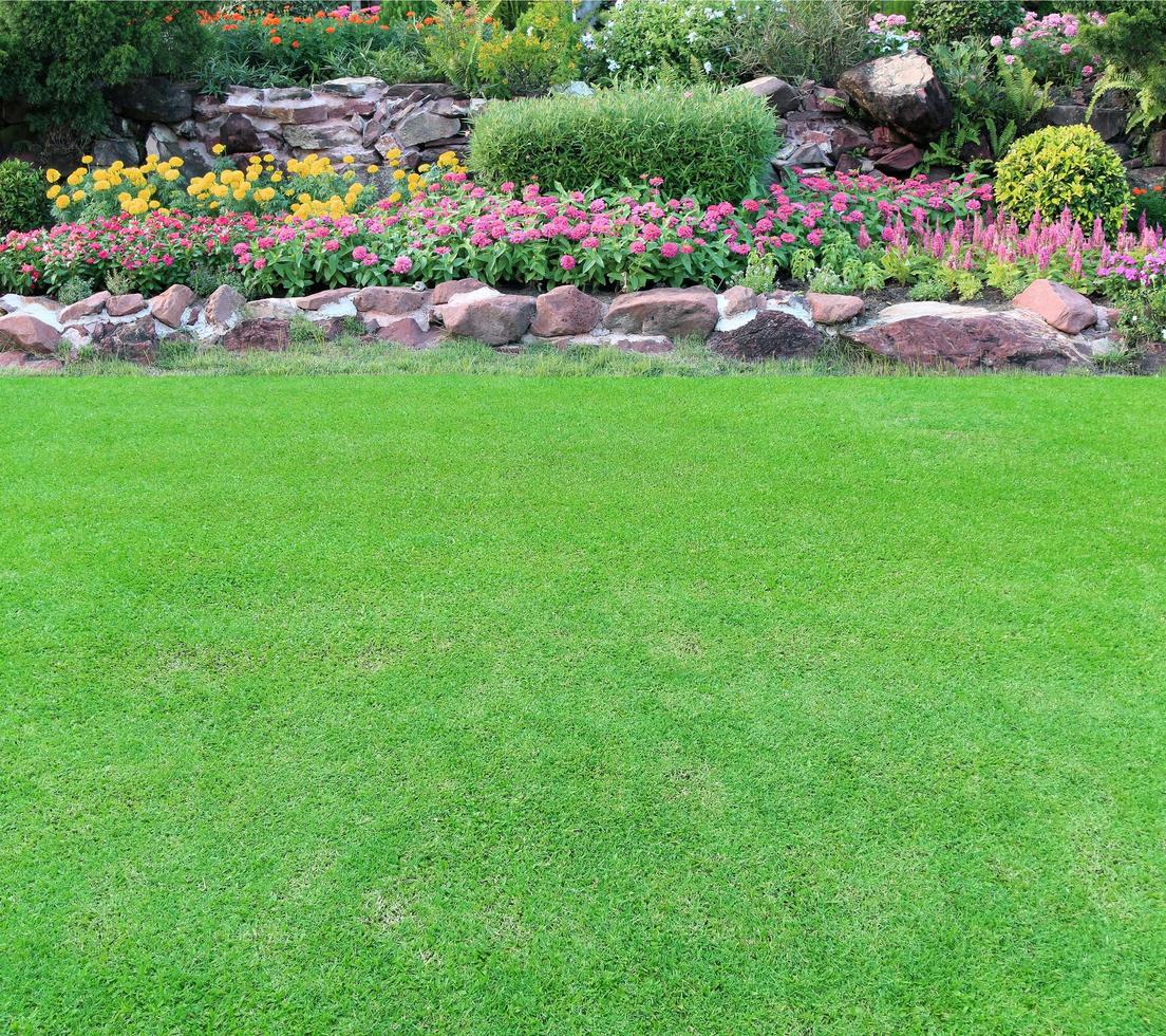 Flower garden with green grass photo