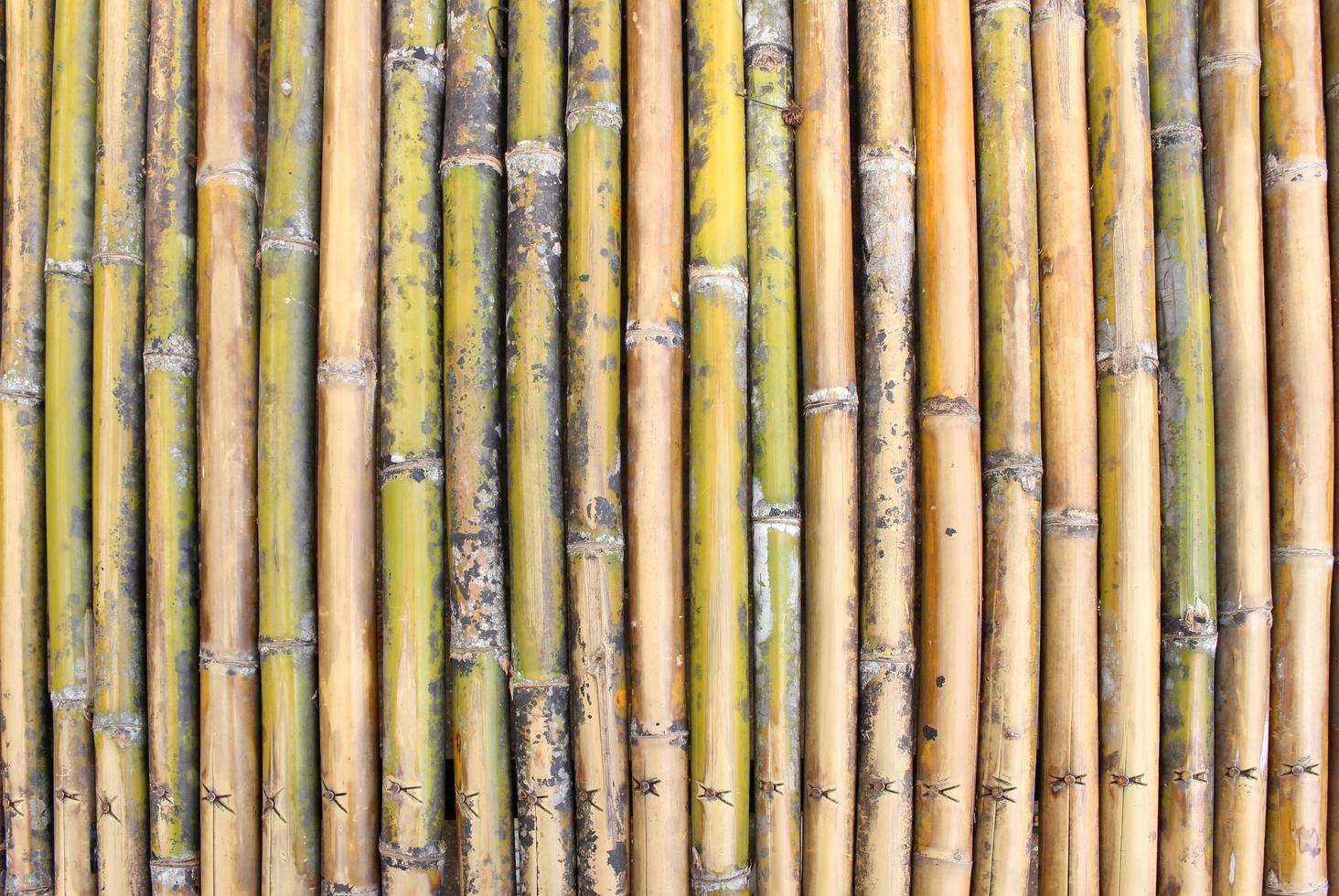fondo de pared de bambú foto