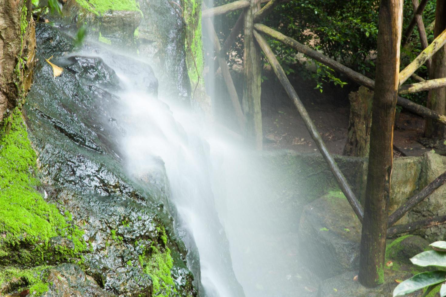 Small waterfall in the forest photo