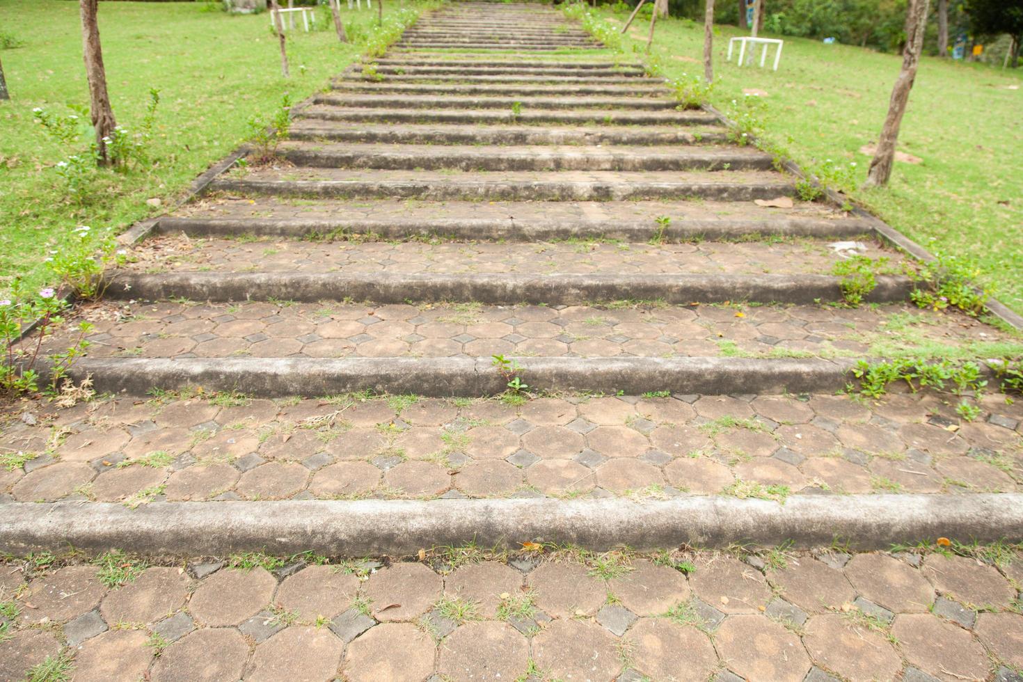 Stone pathway in the park photo