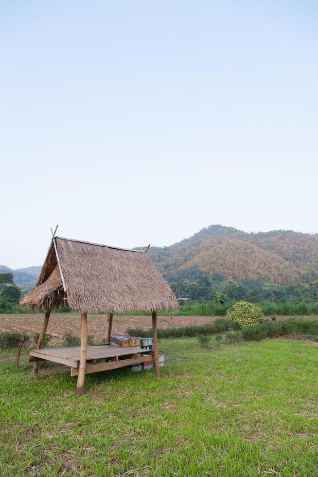 cabaña en el campo en la tailandia rural foto