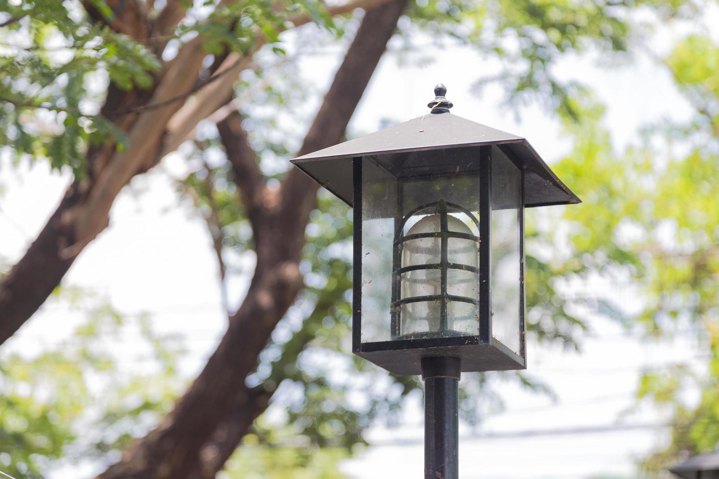 Black Lantern in the park photo