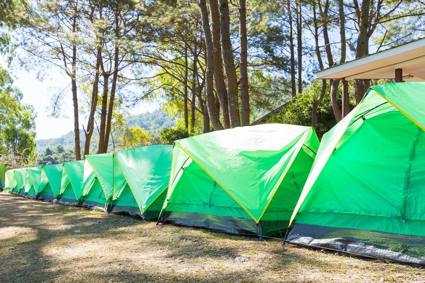 Green tents on the lawn in Thailand photo