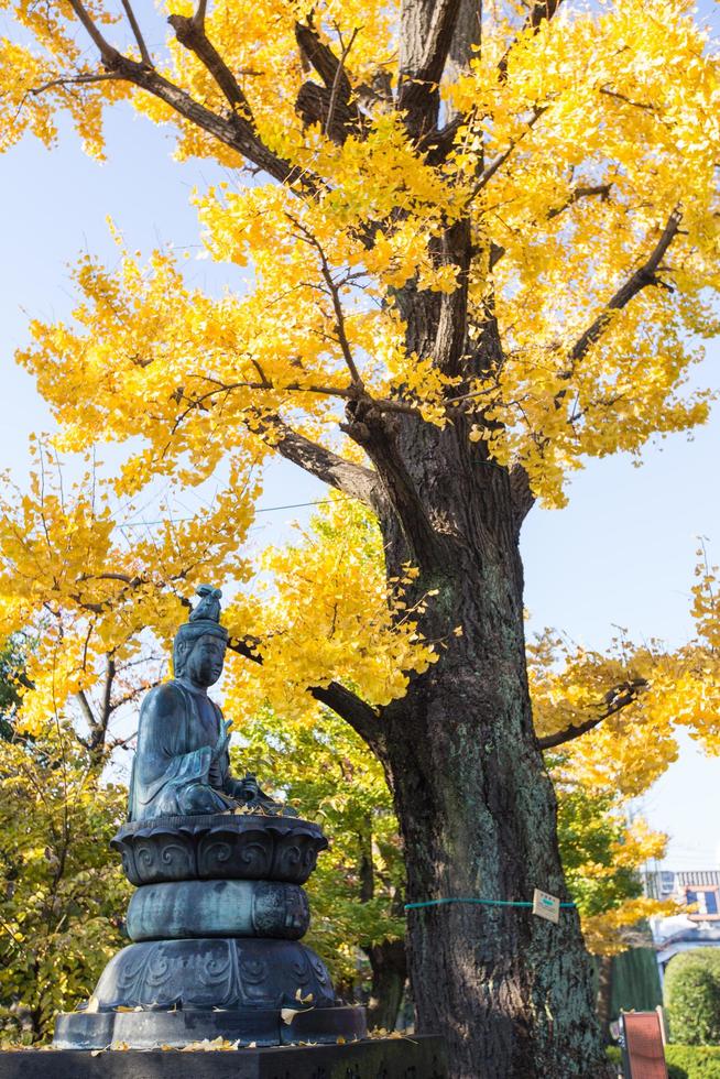 Buda de piedra debajo del árbol en Tailandia foto