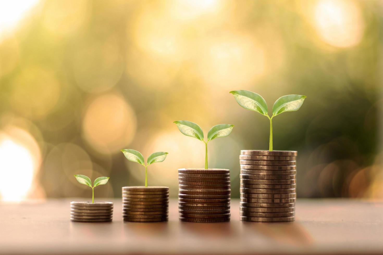 Tree growing on a coin pile and blurred green nature background, money growth concept, and business success concept photo