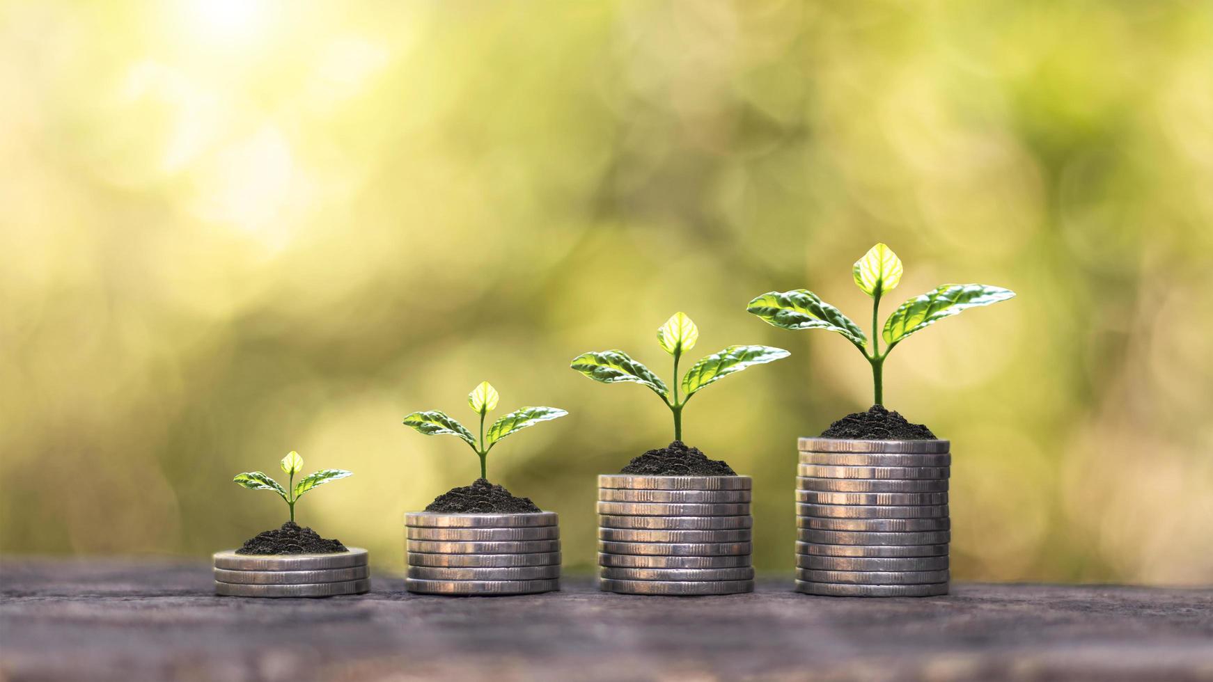 The tree is growing on a pile of coins and wood floors and a blurry green nature backdrop. Financial growth concept photo