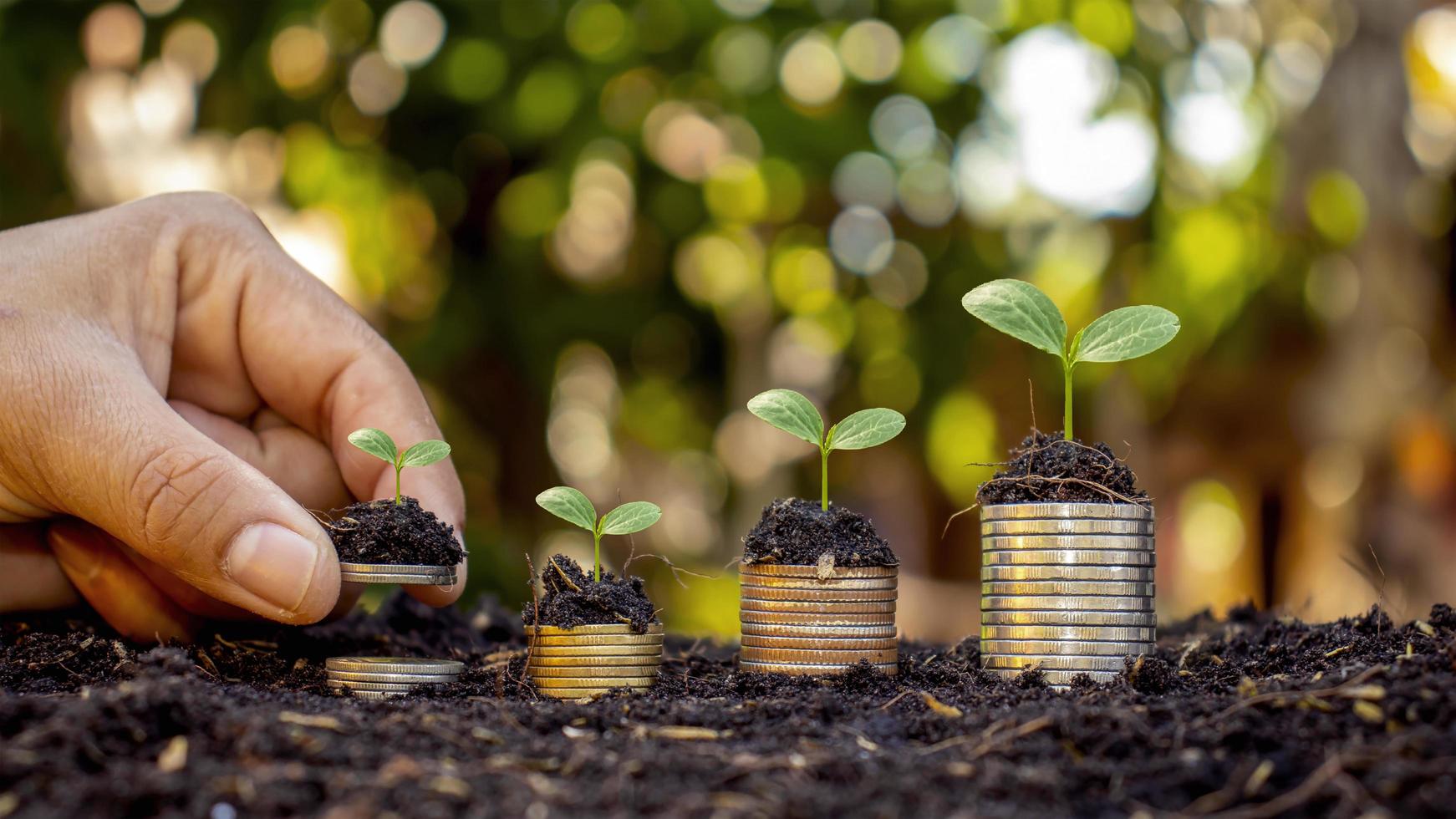 Manos humanas sosteniendo dinero y árboles que crecen en concepto de crecimiento financiero de inversión de dinero foto