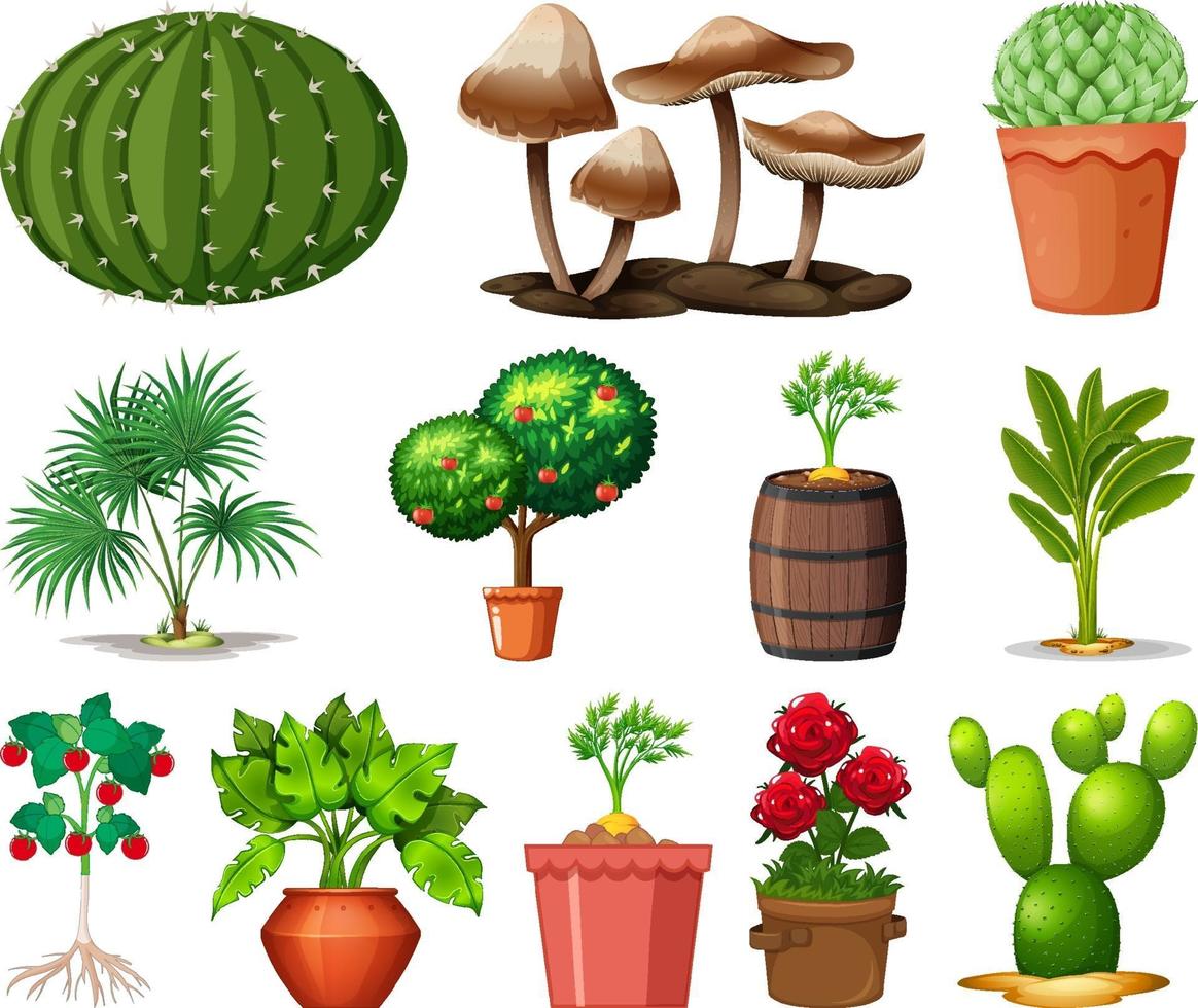 Set of different plants in pots isolated on white background vector