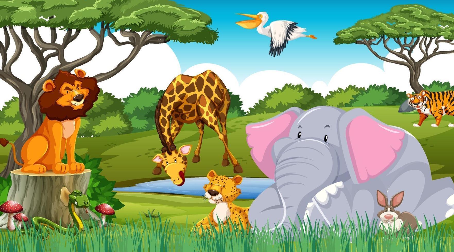 Wild animals in the jungle vector