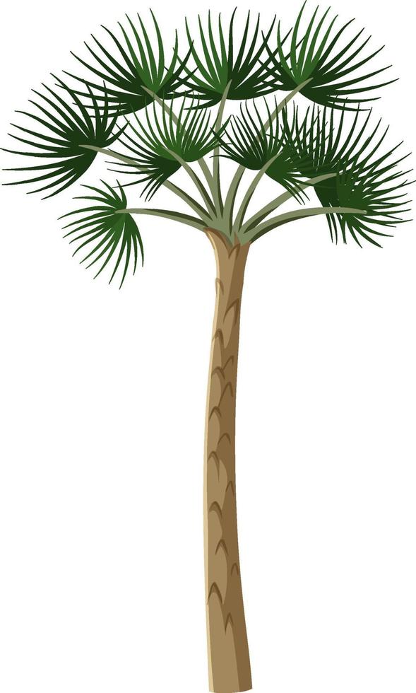 único árbol de la selva tropical aislado sobre fondo blanco. vector