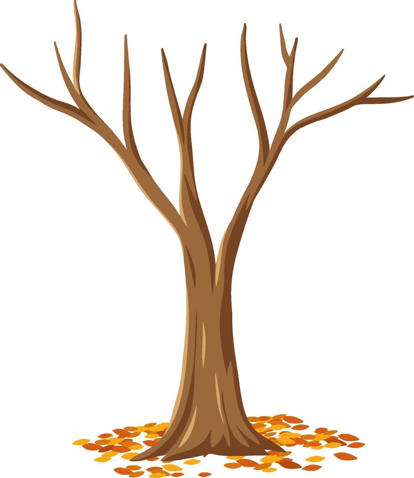 Árbol de otoño aislado sobre fondo blanco. vector