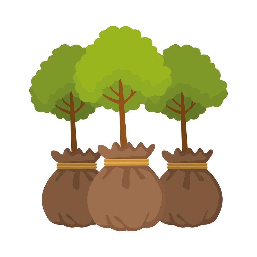 tree plants in bags icons vector
