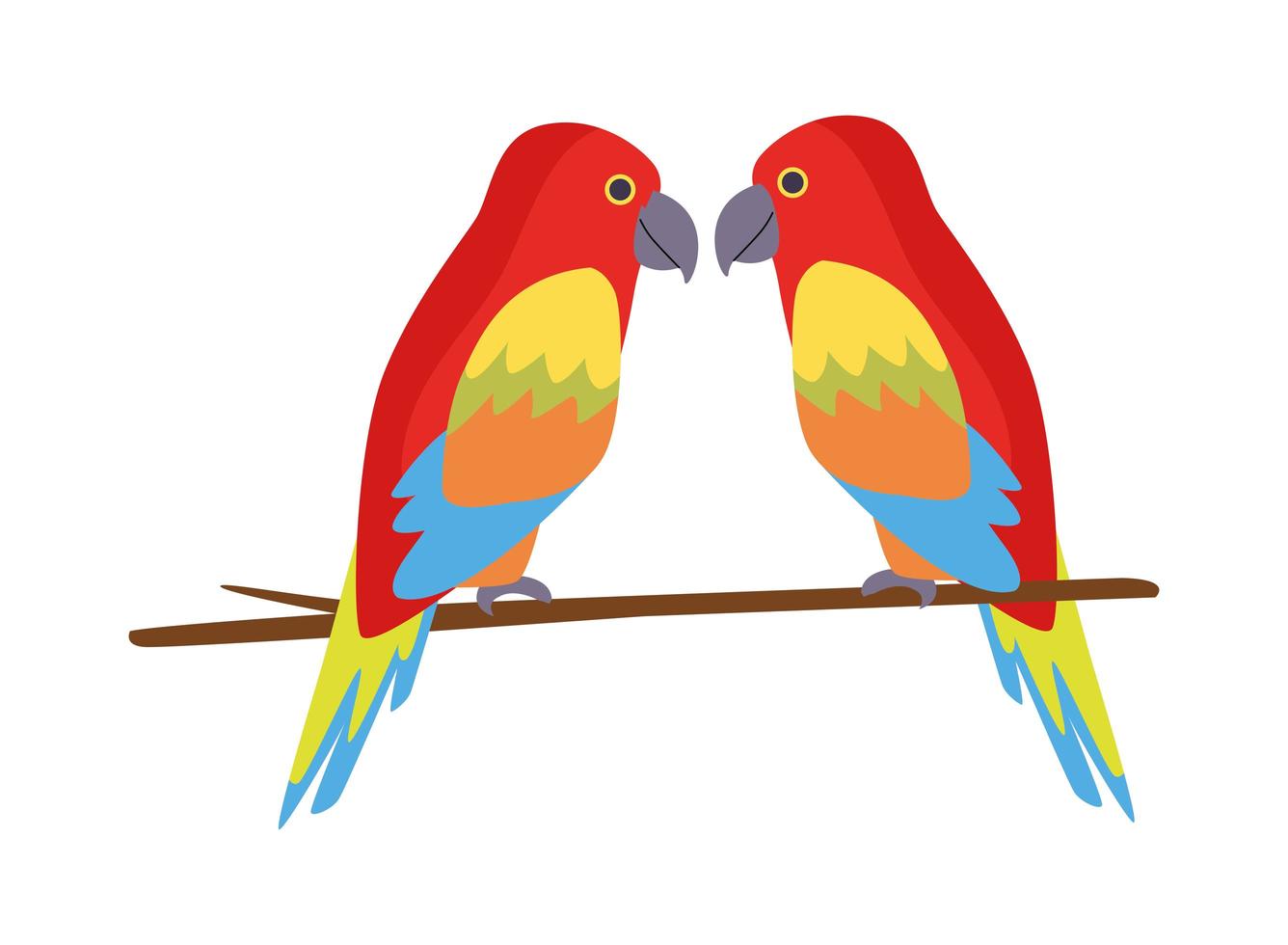 wild tropical parrots nature icon vector