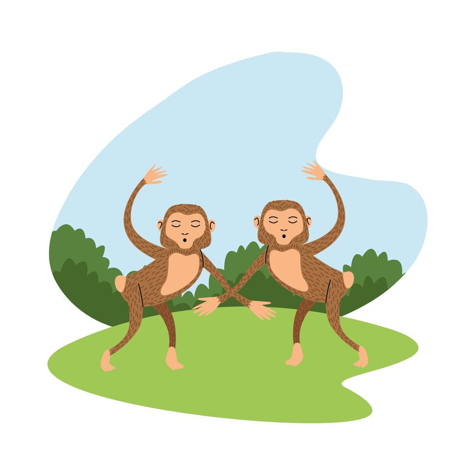 wild monkeys nature icon vector