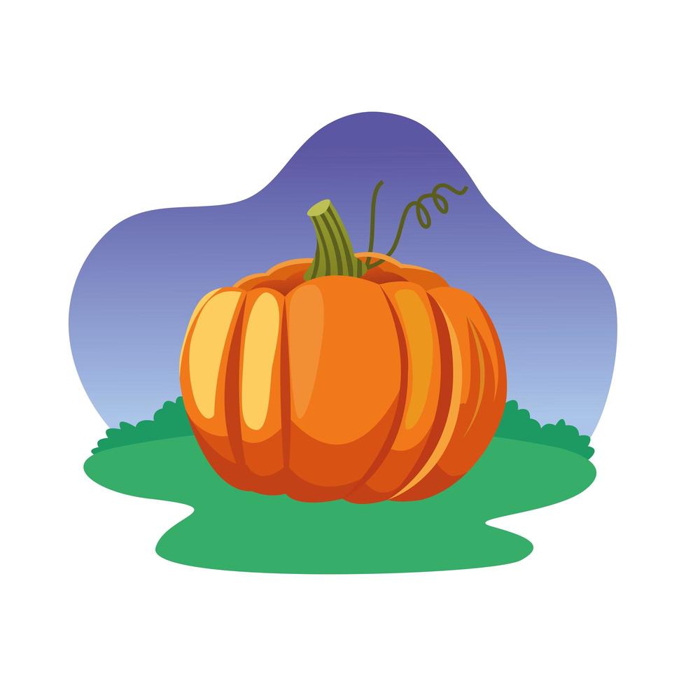 diseño de vector de fruta de calabaza aislada