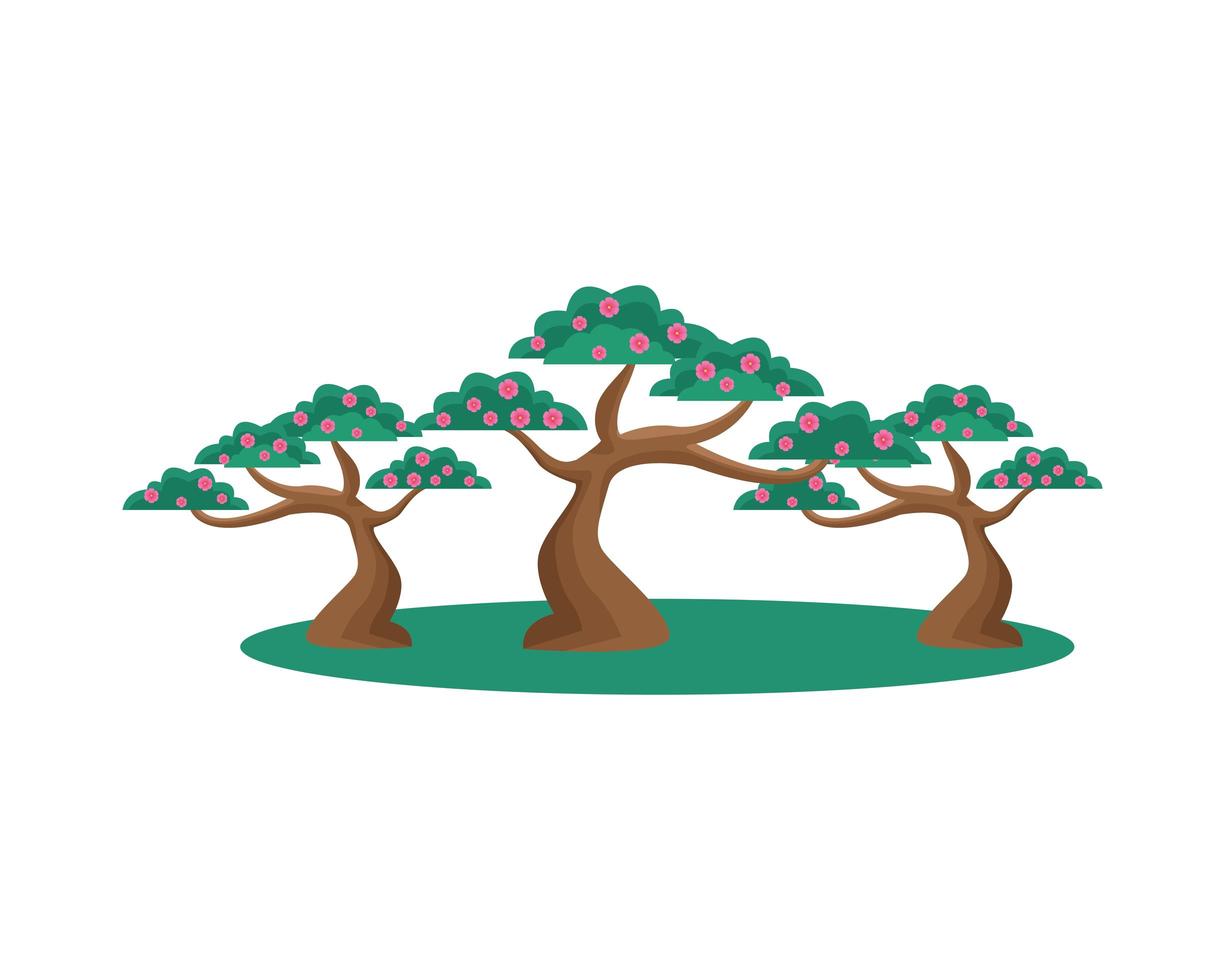 Isolated chinese trees with flowers vector design