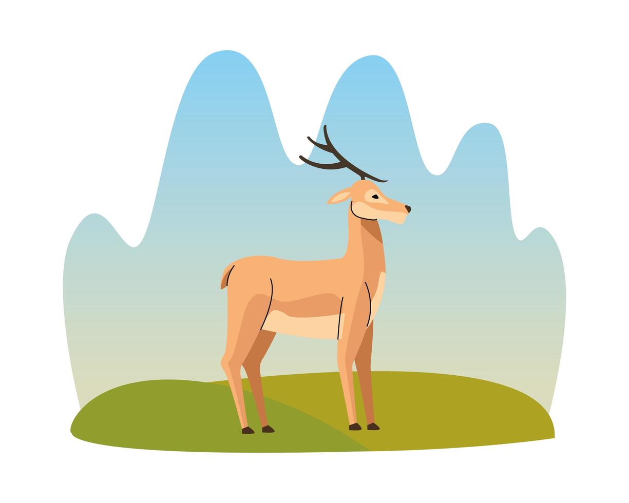 icono de animal de reno salvaje vector