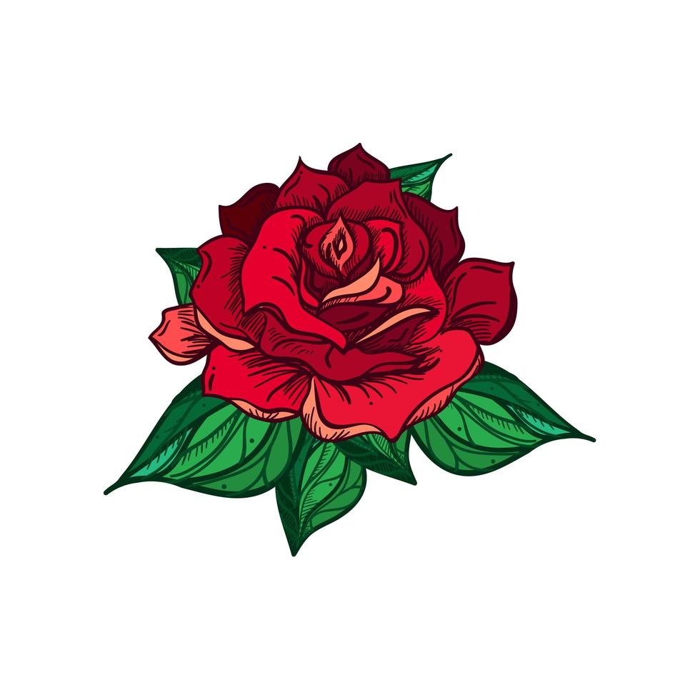 rosa de boda dibujada a mano vector