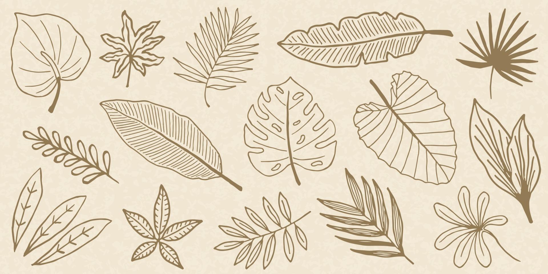 Tropical Leaves Doodle Collection vector