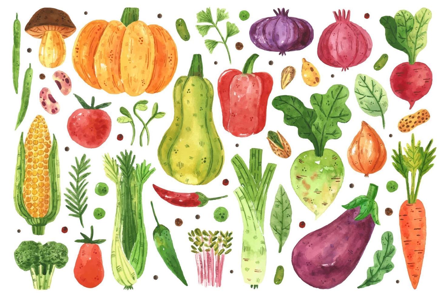 Vegetables watercolor design set vector