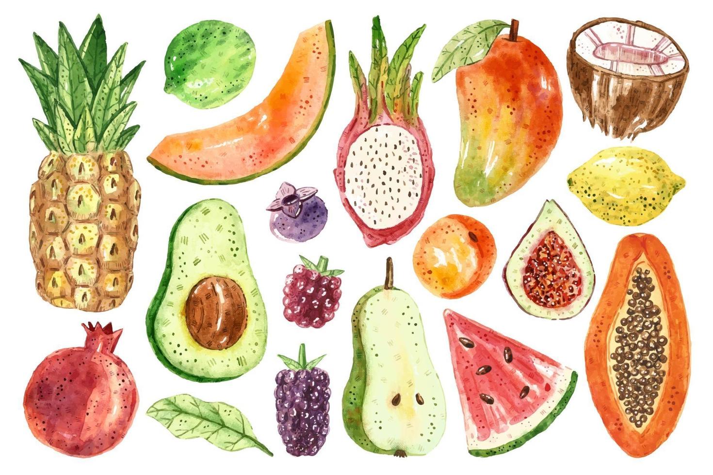 Tropical fruits watercolor set vector