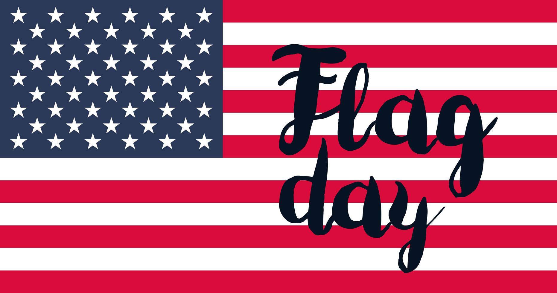 American Flag Day vector