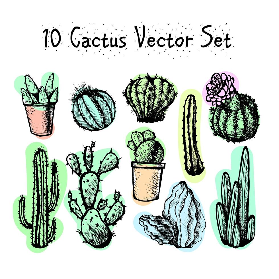 conjunto de cactus aislados dibujados a mano vector