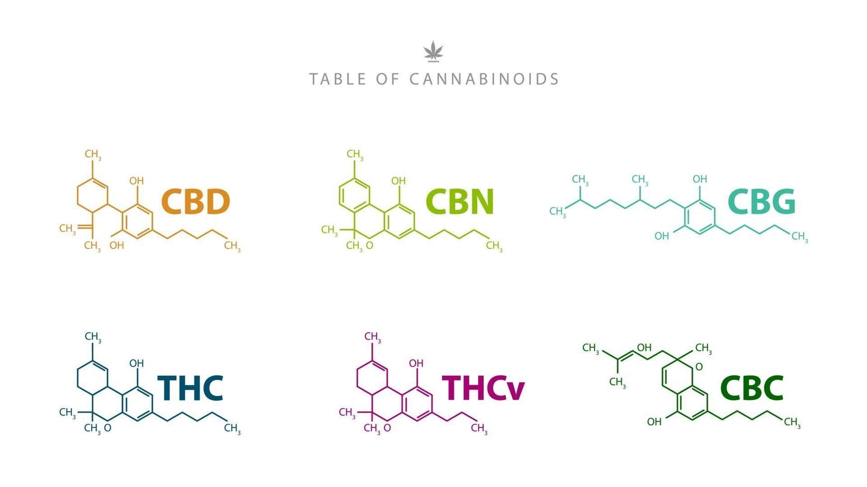 Table of cannabinoids. Chemical formulas of natural cannabinoids isolated on white background vector