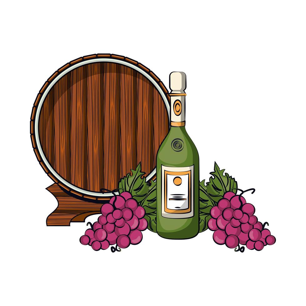 champagne bottle with grapes and barrel vector