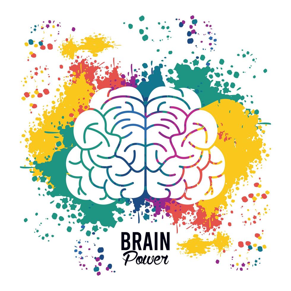 brain power template with set paint colors splash vector