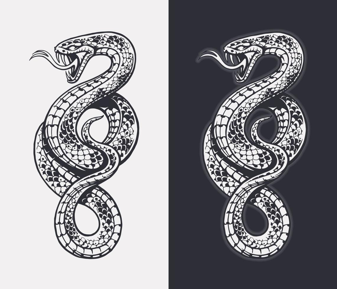 vector de serpiente aislado